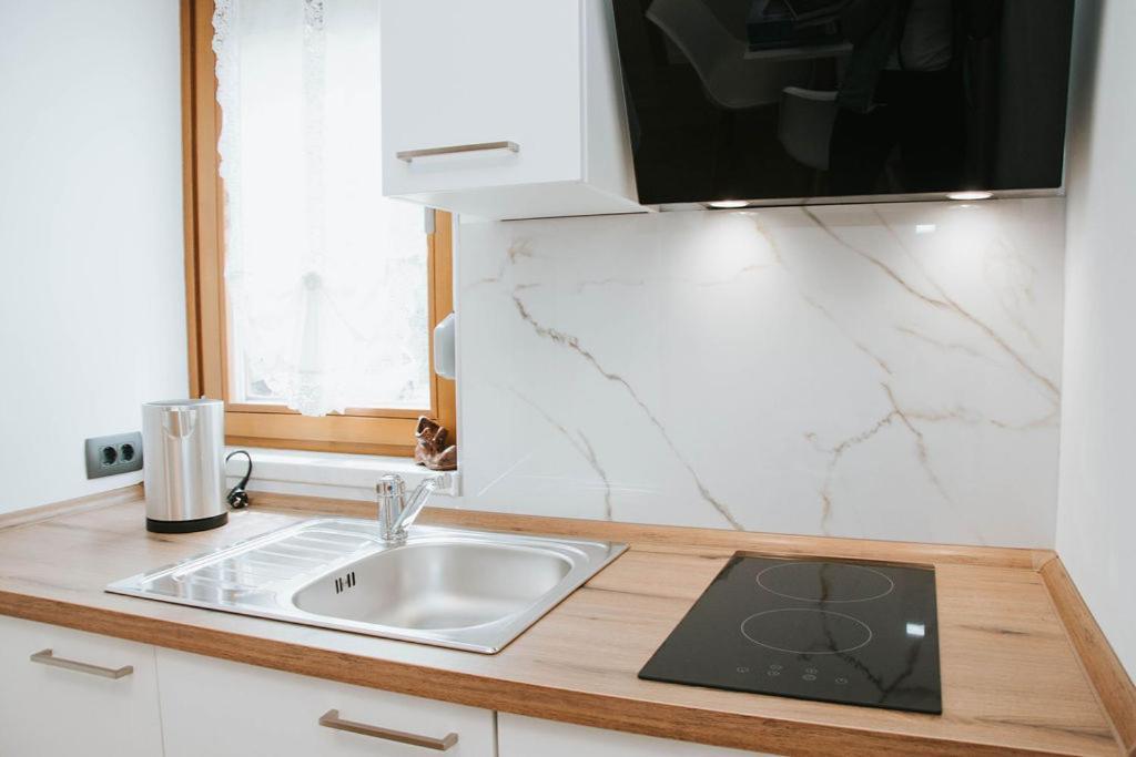 Apartmaji Ursic コバリード エクステリア 写真
