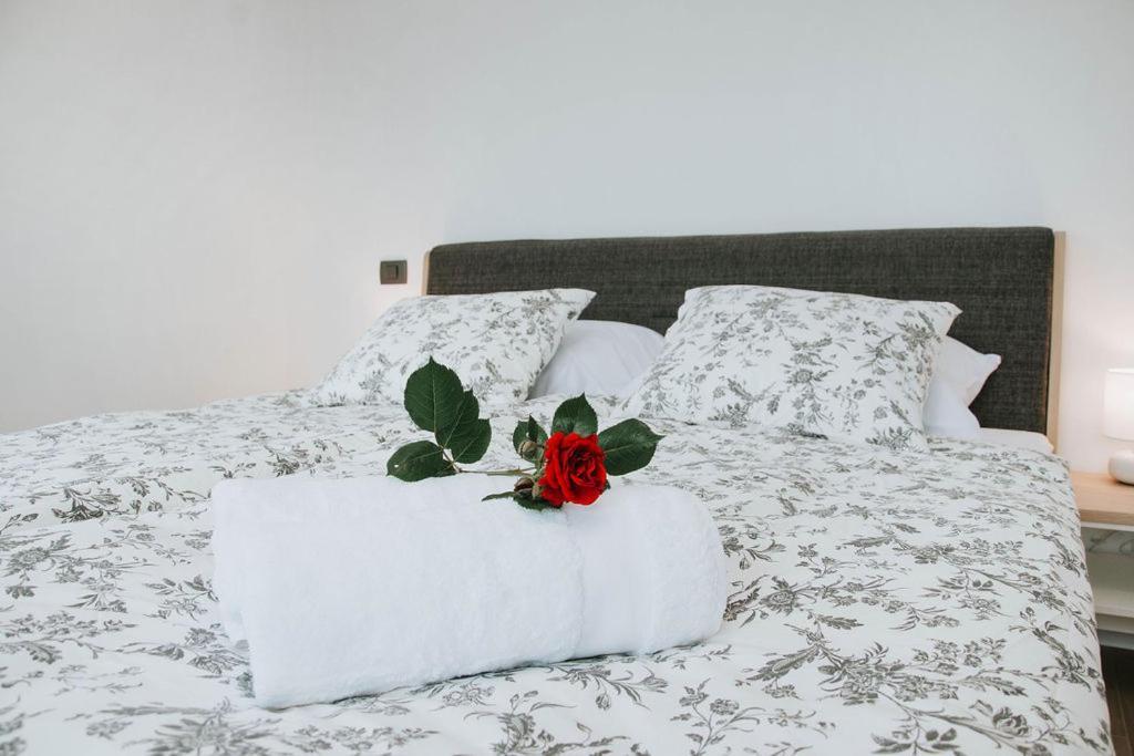 Apartmaji Ursic コバリード エクステリア 写真