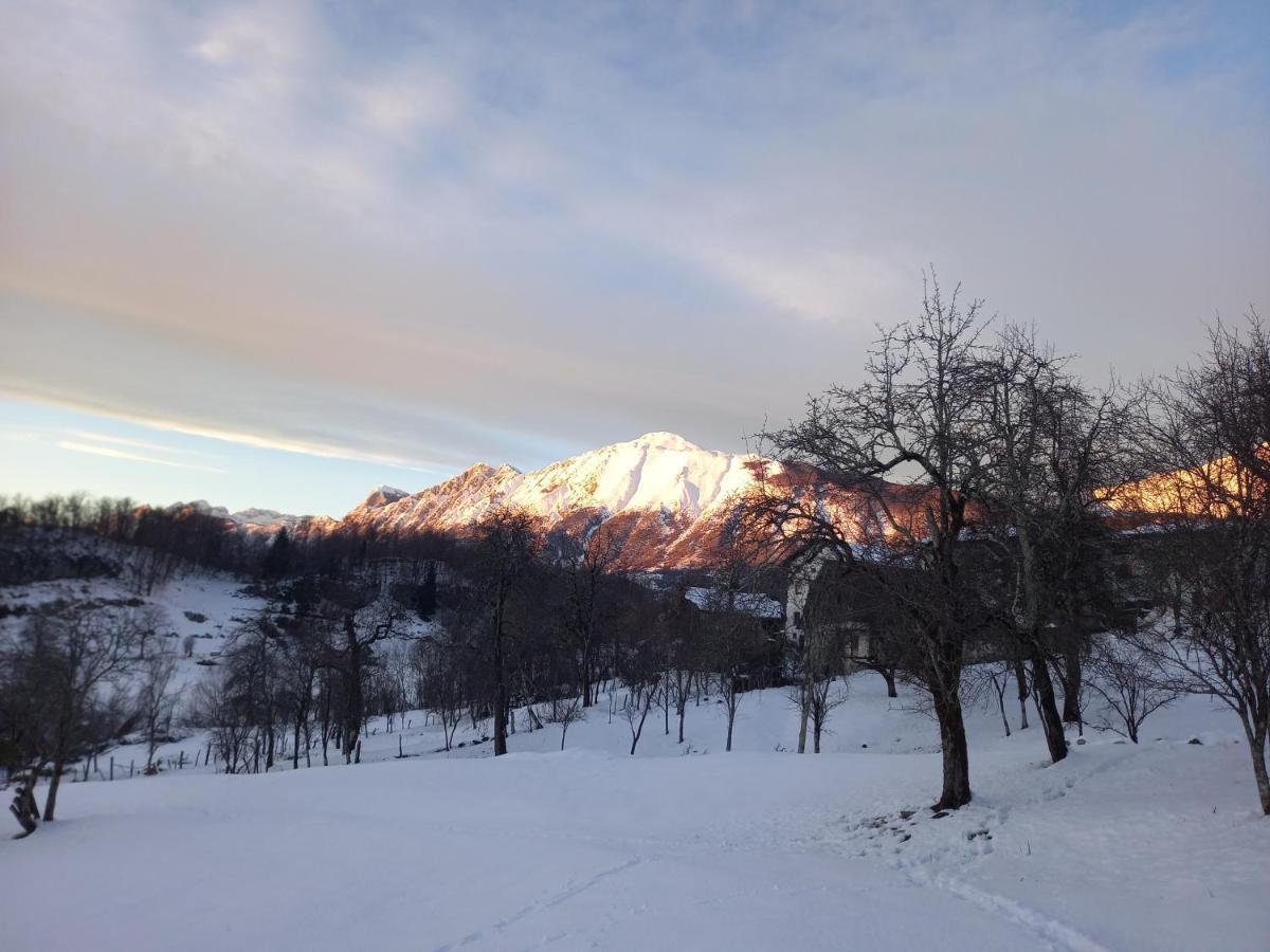 Apartmaji Ursic コバリード エクステリア 写真